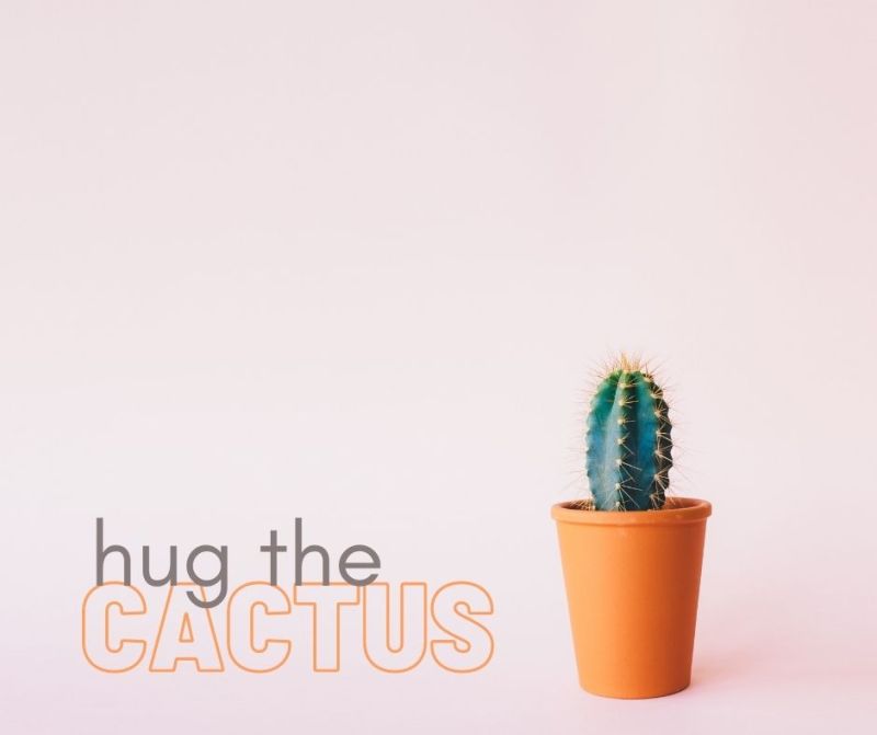 hug the cactus business networking Fife