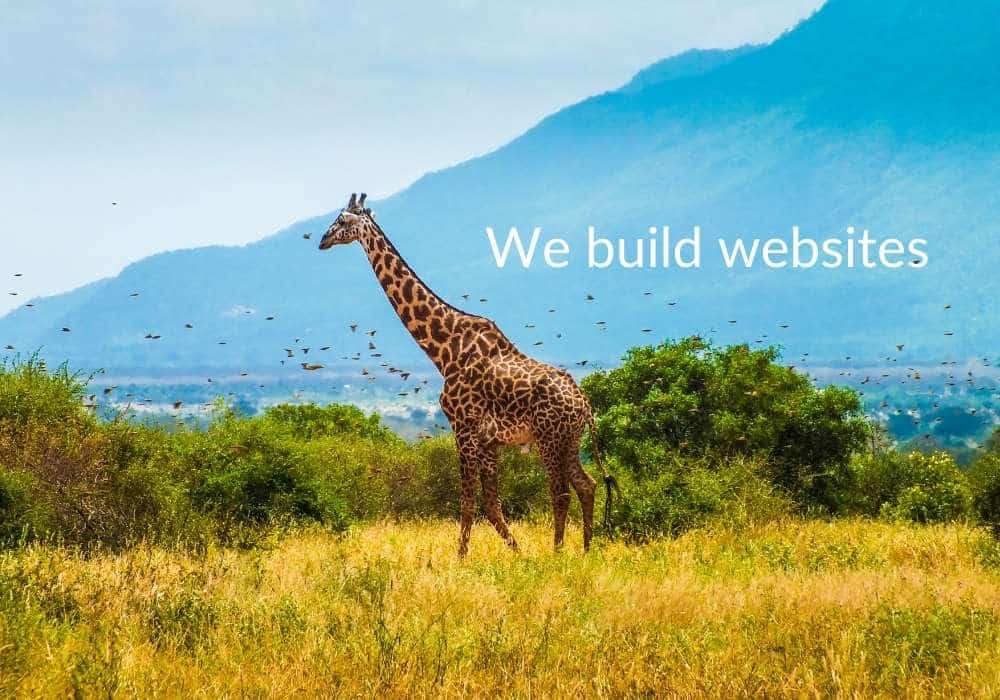 How to use photos on your website