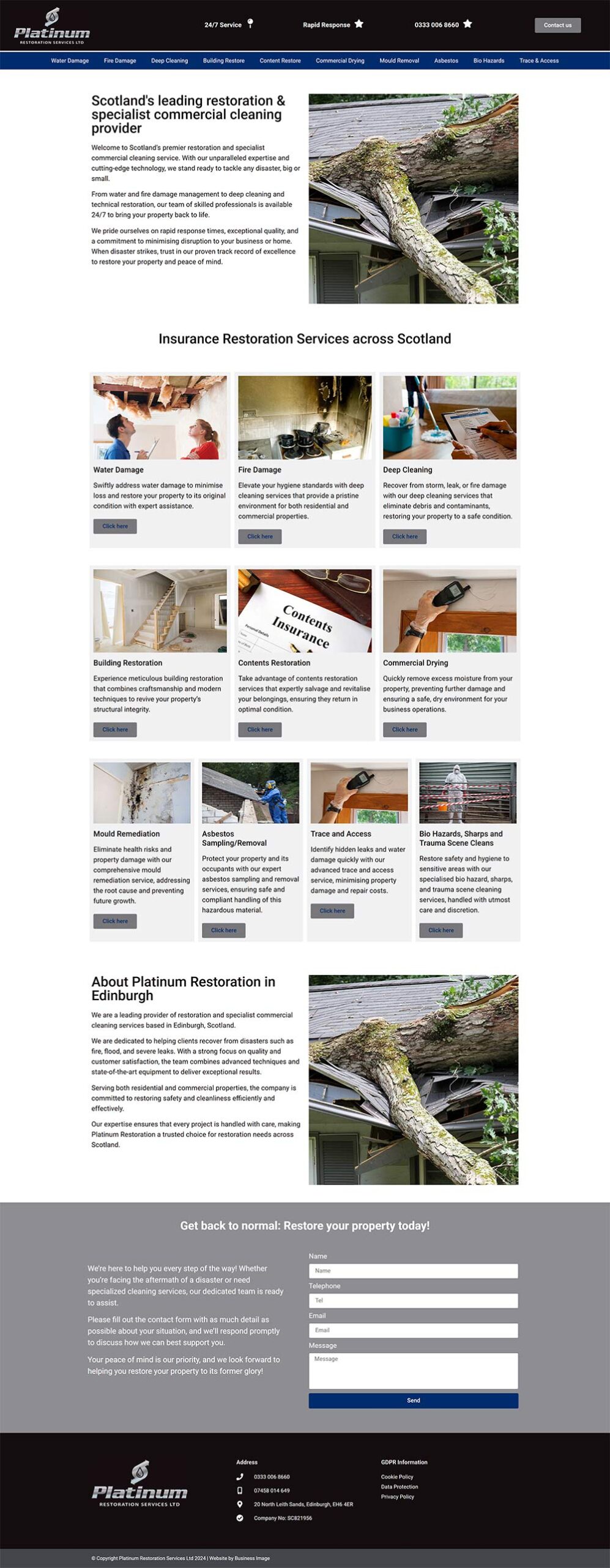 Platinum Restoration new website