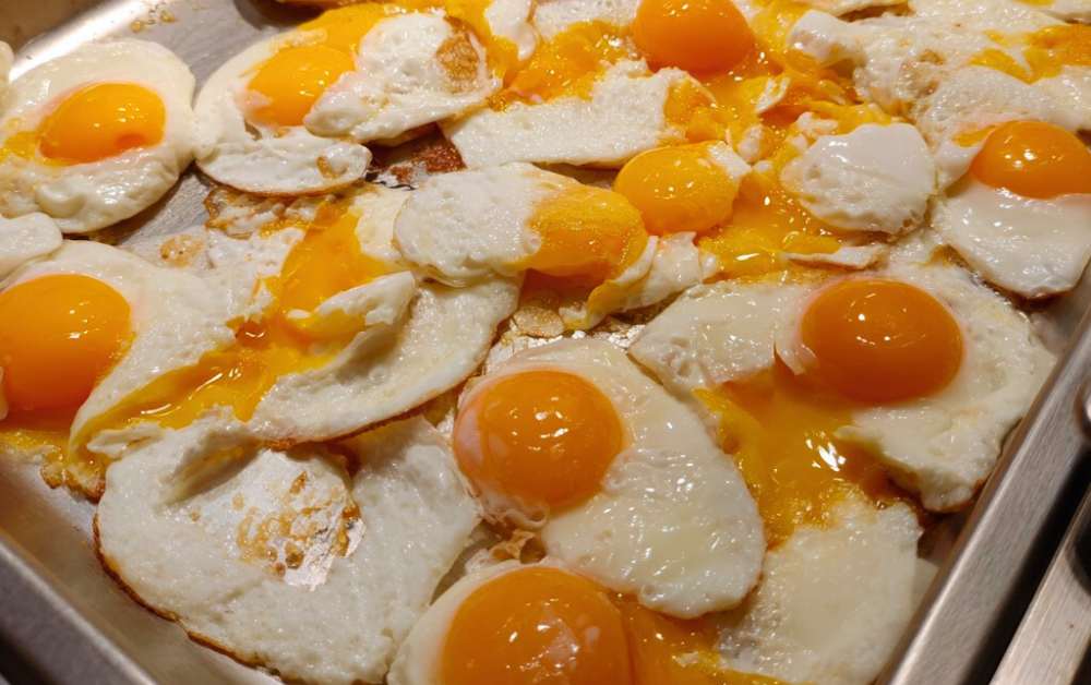 bad eggs at hotel