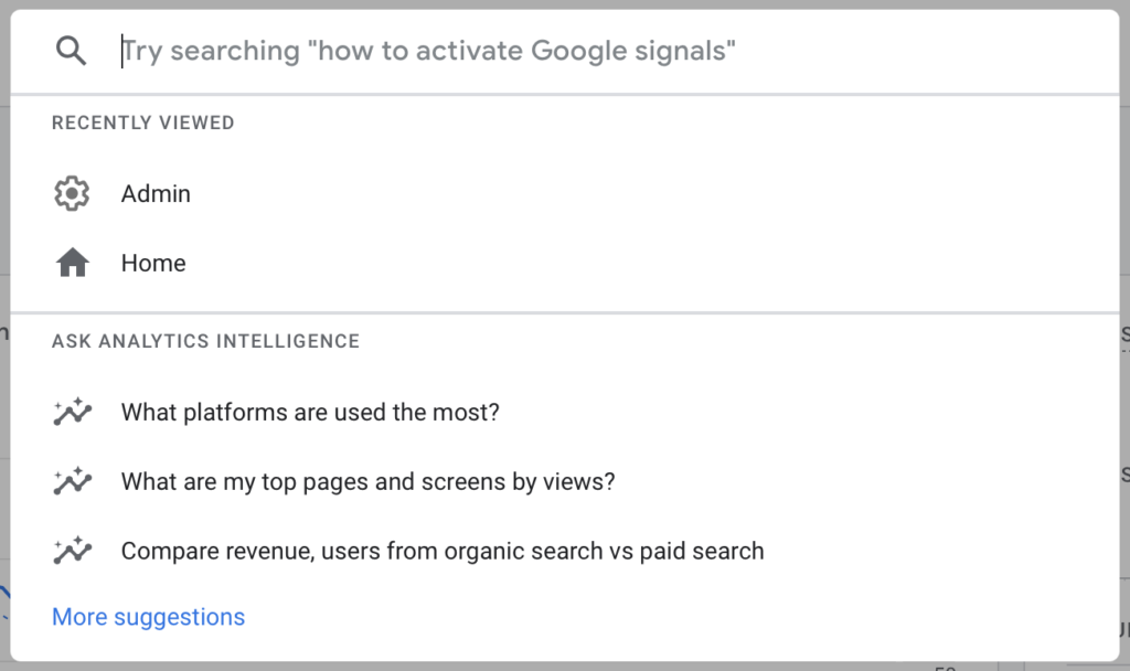 How to use GA4 search field