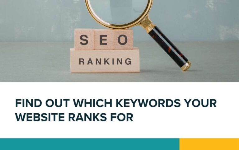 Find out which keywords your website ranks for