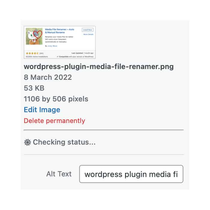ALT text example