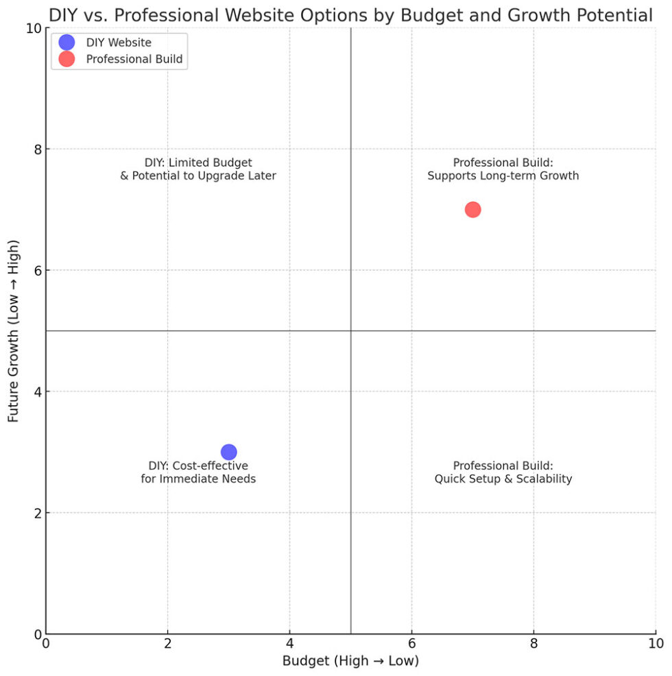 build your own website vs web designer